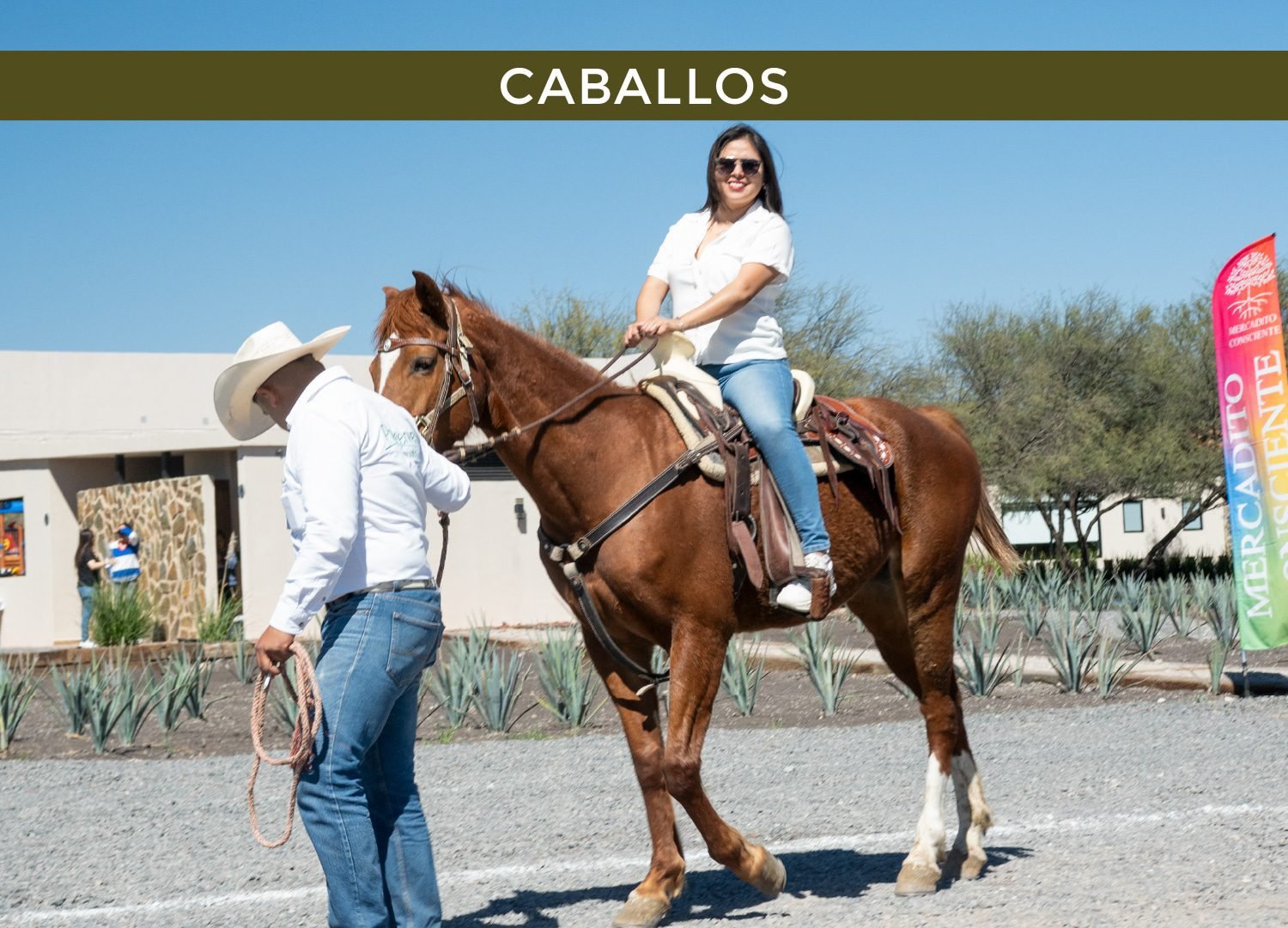 preserve marques caballo