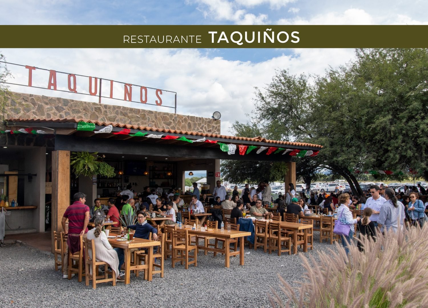 preserve marques taquiños